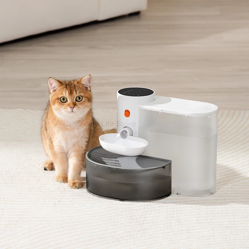 Automatic Water Feeder Pet