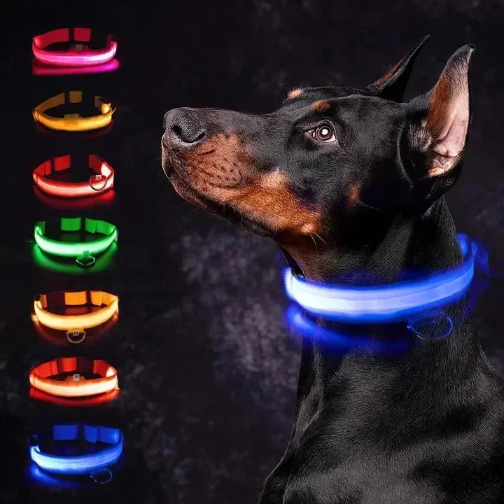 LED Glowing Pet Collar